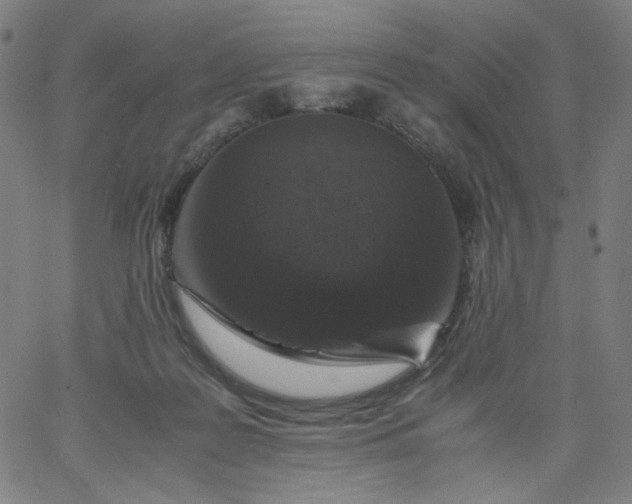 X0000067360219200604131824