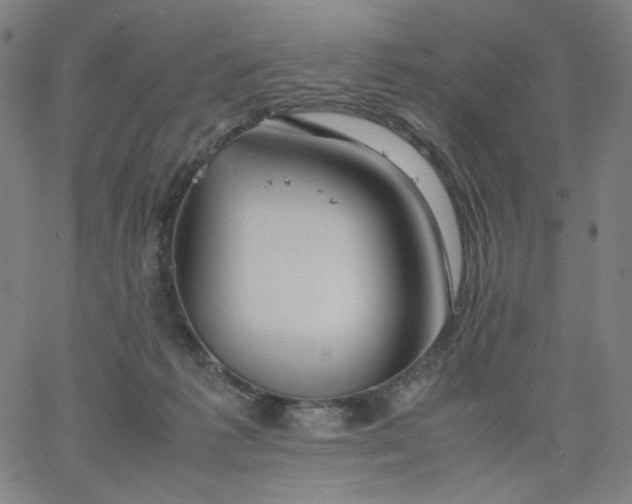 X0000067360221200604131824