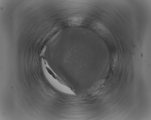 X0000067360224200604131824