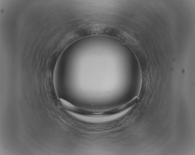 X0000067360225200604131824