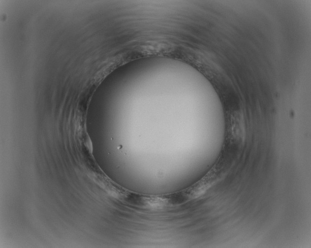 X0000067360226200604131824
