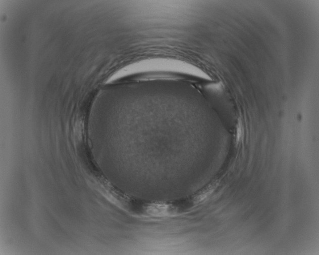 X0000067360227200604131824