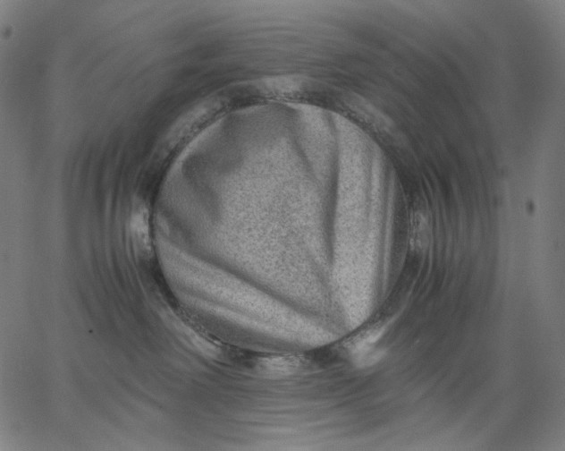 X0000067360238200604131824