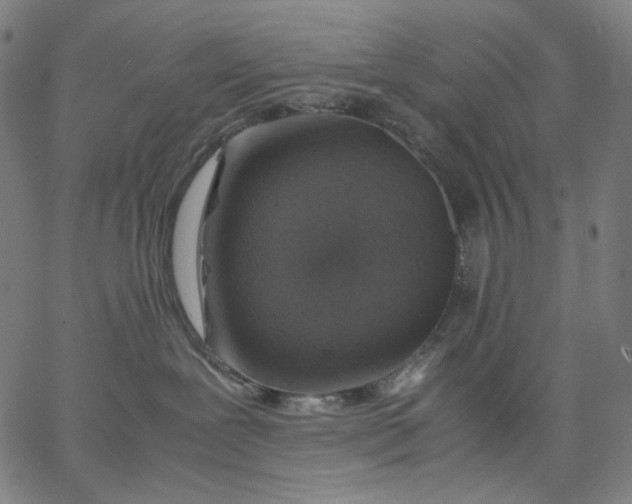 X0000067360239200604131824