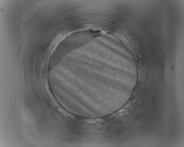 X0000067360241200604131823
