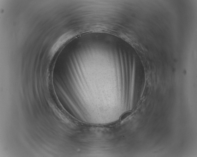 X0000067360242200604131823