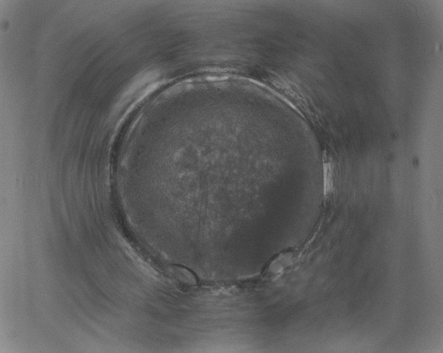 X0000067360243200604131823