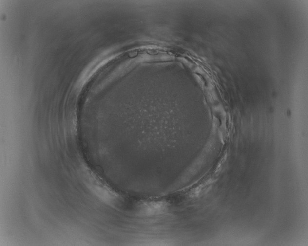 X0000067360247200604131823