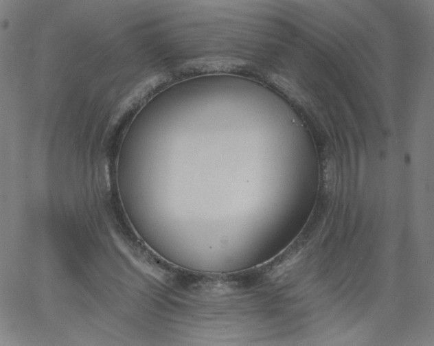X0000067360254200604131823
