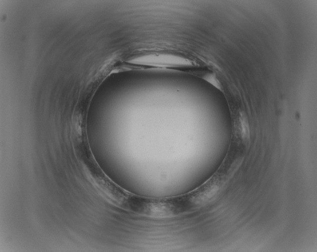 X0000067360264200604131824