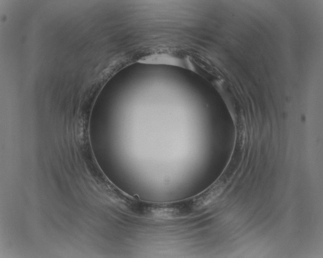 X0000067360268200604131824