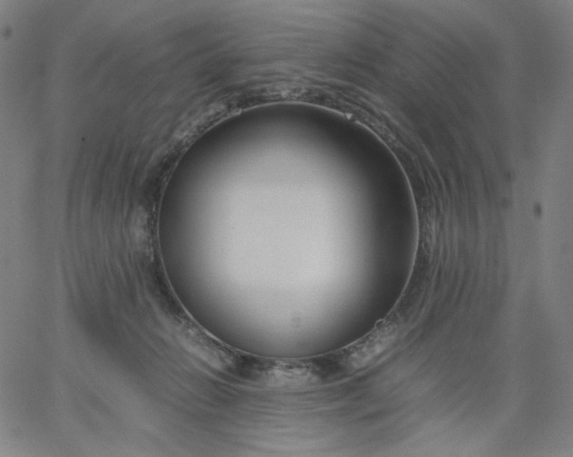 X0000067360270200604131824