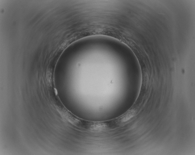 X0000067360274200604131824