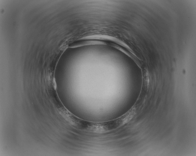 X0000067360276200604131824