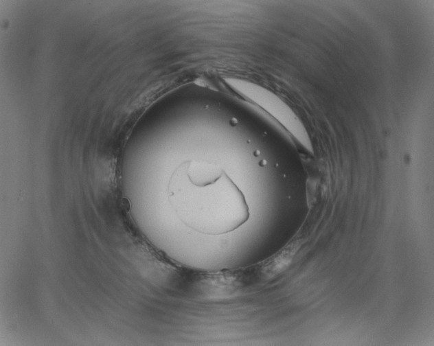 X0000067360278200604131824