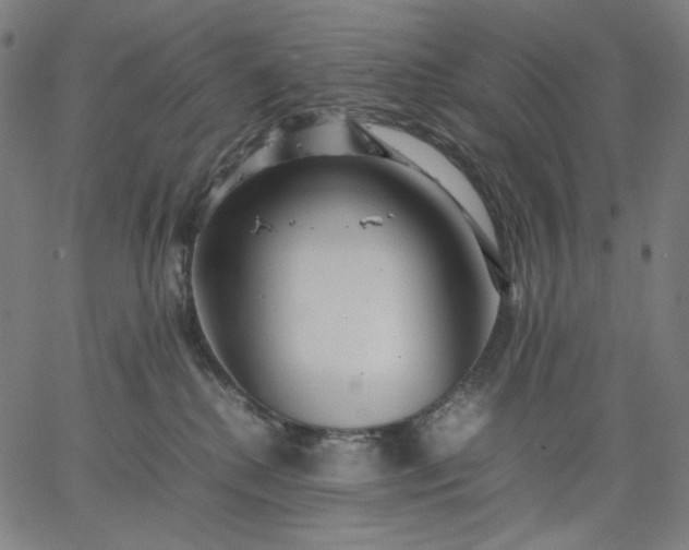 X0000067360280200604131824