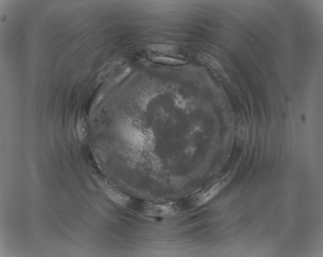 X0000067360285200604131824
