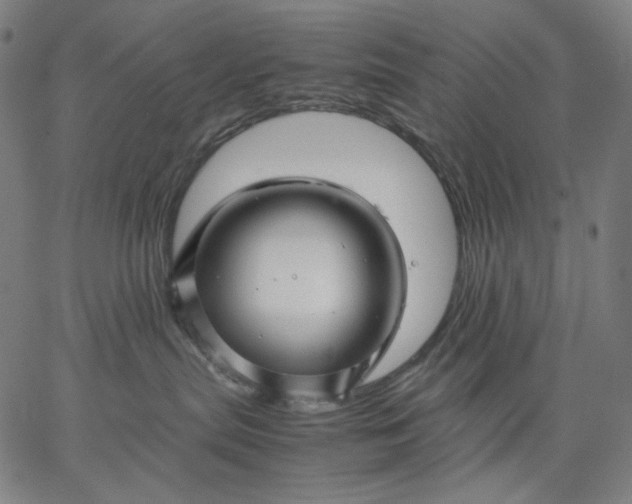 X0000067360287200604131824
