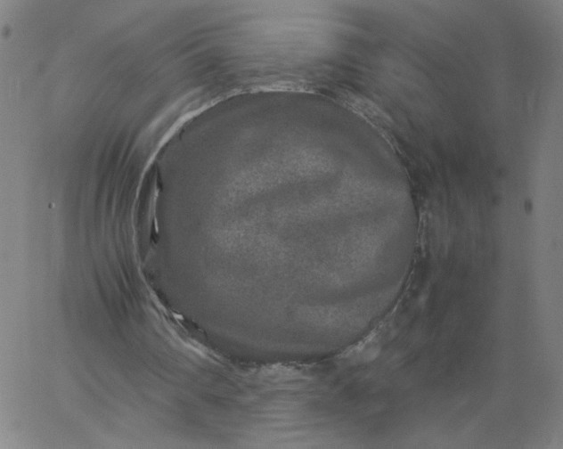 X0000067360290200604131823