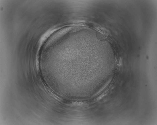 X0000067360294200604131823