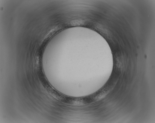 X0000067360308200604131823
