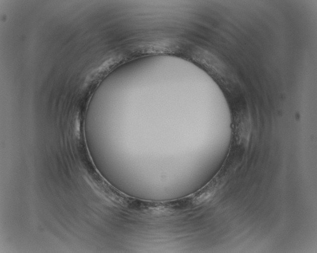 X0000067360310200604131823