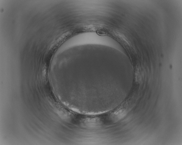 X0000067360314200604131823