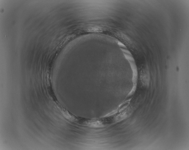 X0000067360322200604131823