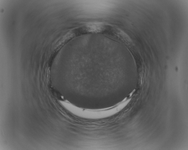 X0000067360325200604131823