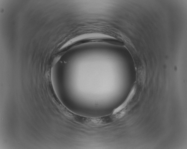 X0000067360329200604131823