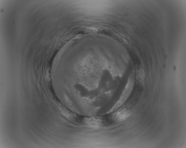 X0000067360331200604131823