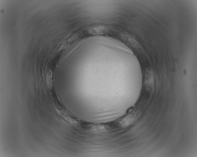 X0000067360332200604131823