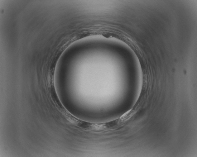 X0000067360333200604131823