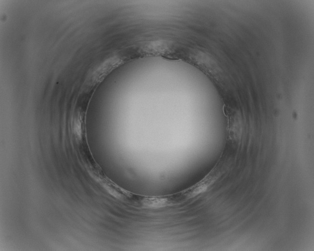 X0000067360334200604131823