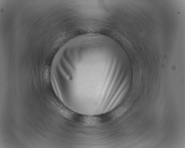X0000067360336200604131822