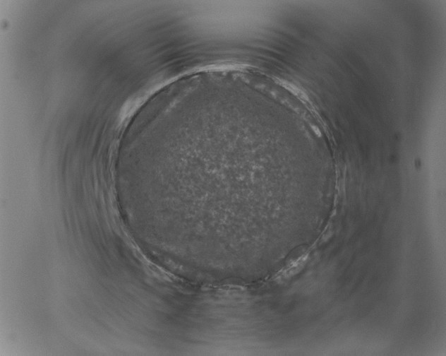 X0000067360337200604131822