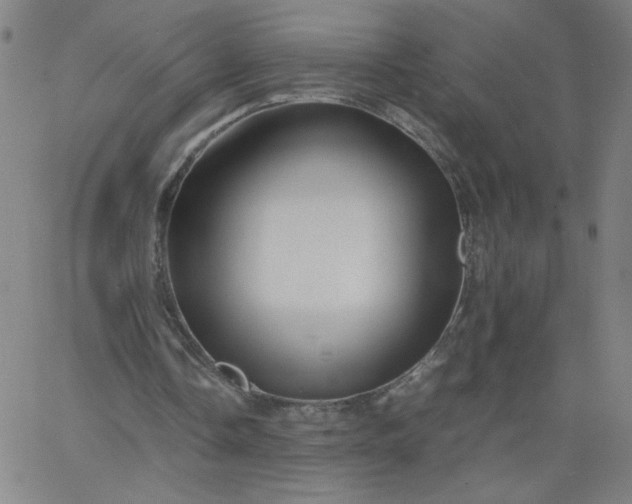 X0000067360338200604131822