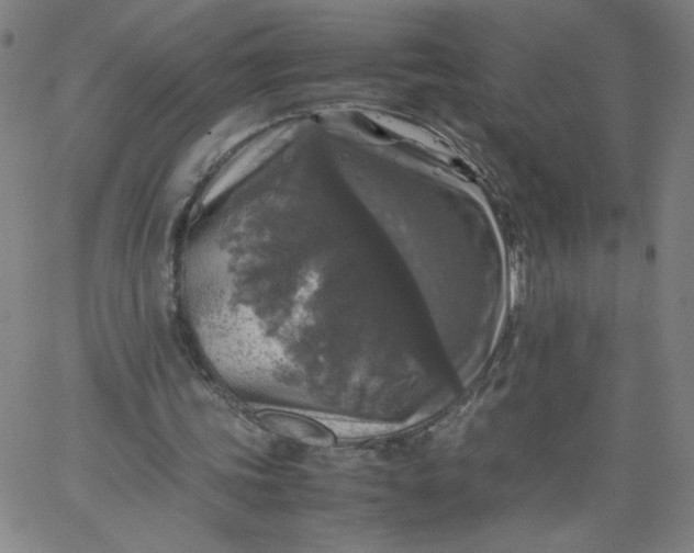 X0000067360339200604131822