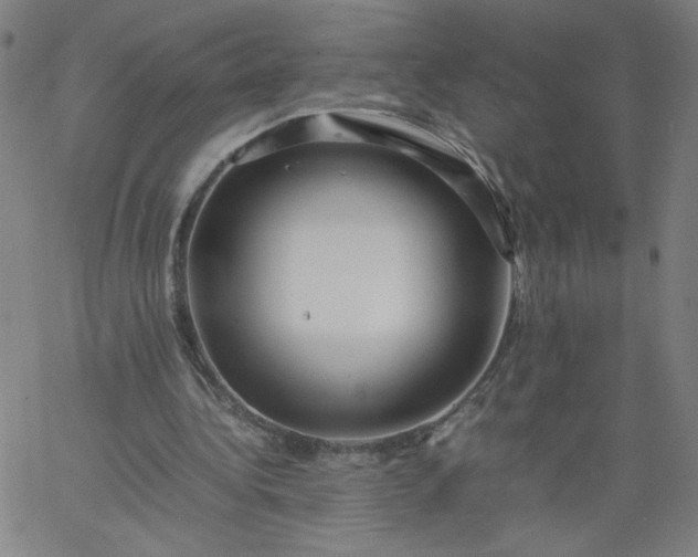 X0000067360340200604131822