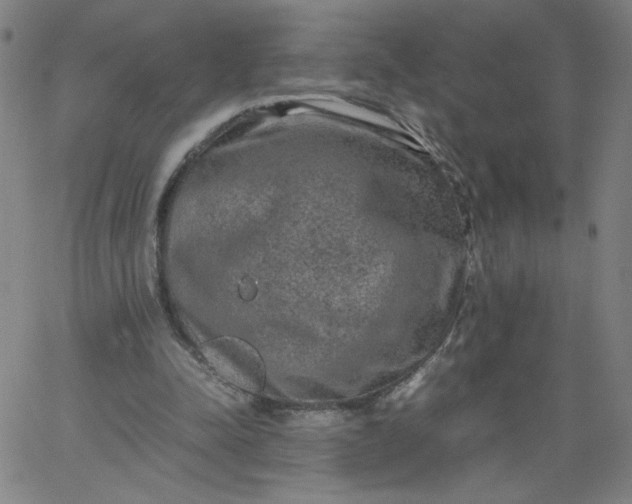 X0000067360342200604131822