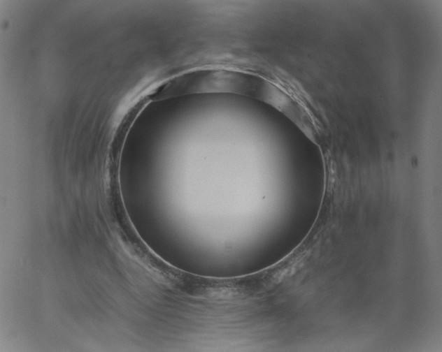 X0000067360344200604131822