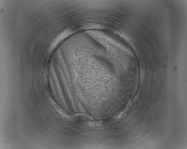 X0000067360345200604131822