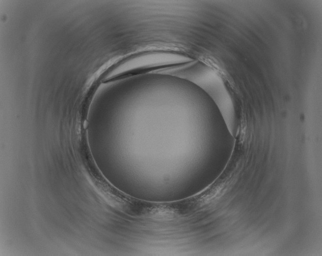 X0000067360348200604131822