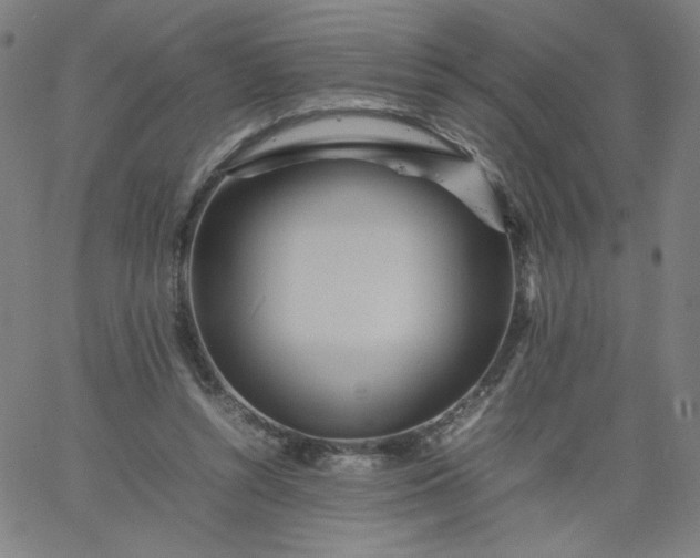 X0000067360352200604131822