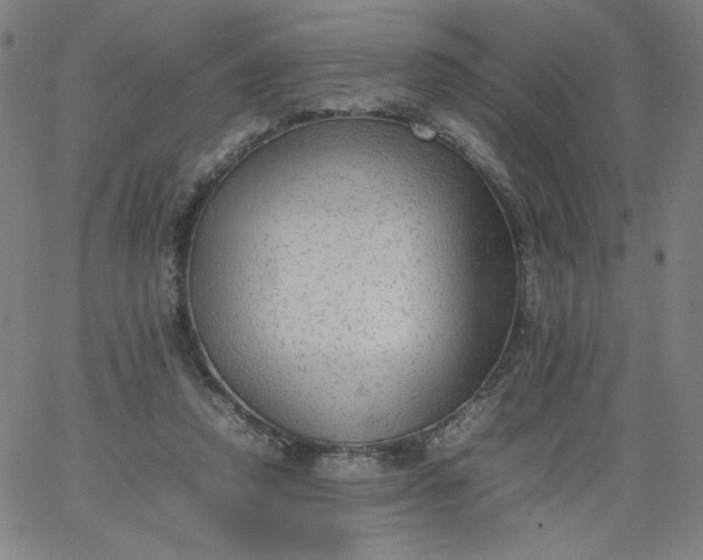 X0000067360354200604131822