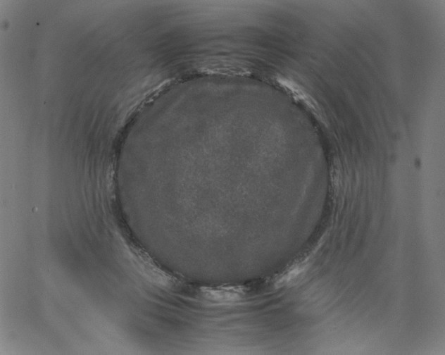 X0000067360359200604131822