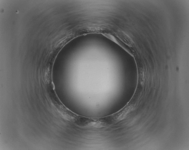 X0000067360364200604131822