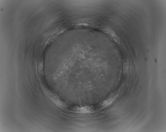 X0000067360365200604131822
