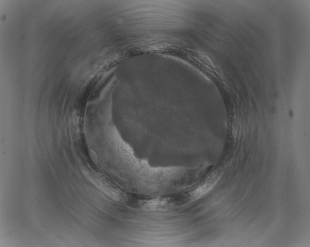 X0000067360366200604131822