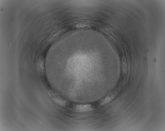 X0000067360375200604131822